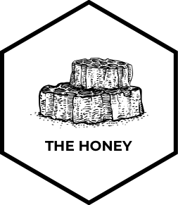 the honey icon