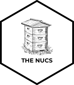 the nucs icon
